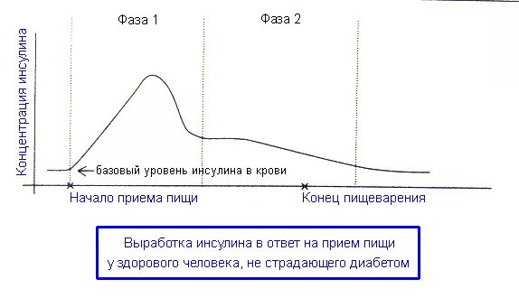 Инсулин в течении дня. Цикл инсулина. Уровень инсулина в крови. График инсулина у здорового человека. Уровень инсулина после приема пищи.