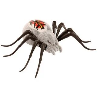 Good wild pets