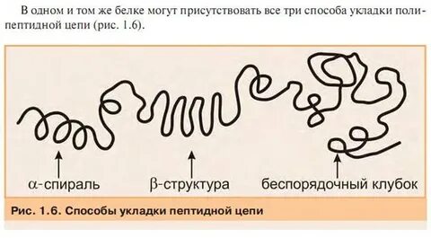 Клубок белок