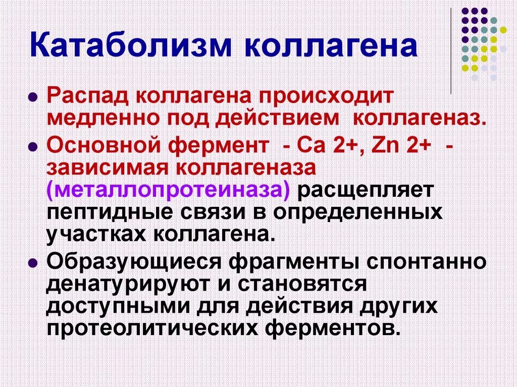 Катаболизм коллагена. Метаболизм коллагена. Катаболизм эластина. Катаболизм коллагена биохимия.