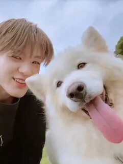 17 dog
