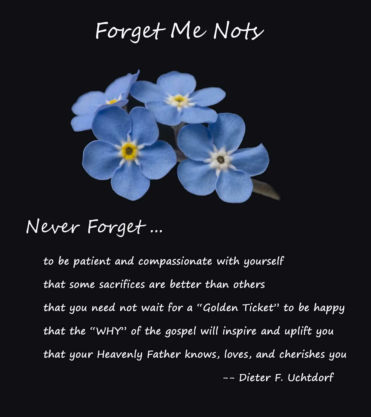 Незабудка на английском. Forget me not цветок. Незабудка на языке цветов. Forget me not перевод. Незабудка на французском.