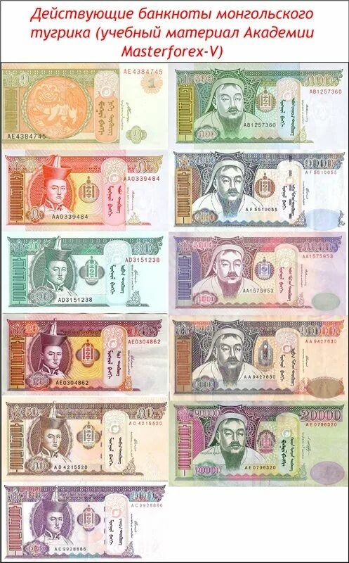 Тугрик к рублю на сегодня. Национальная валюта Монголии. Монгольский тугрик. Монгольский тугрик к рублю. Тугрик банкноты.