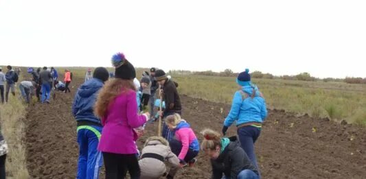 население алтайского края 2021