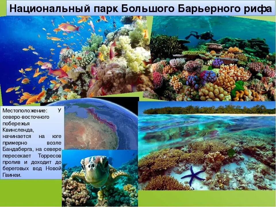 Большой водораздельный риф в австралии. Большой барьерный риф сообщение. Большой барьерный риф презентация. Всемирное наследие австралии большой барьерный риф. Презентация большой барьерный риф.