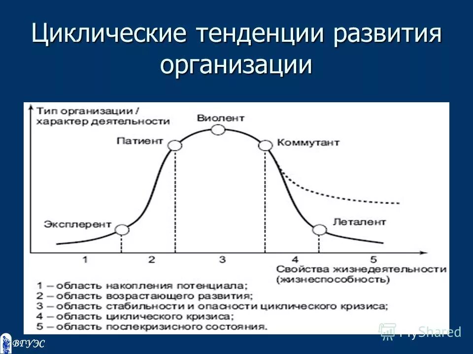 Развитие организации доклад