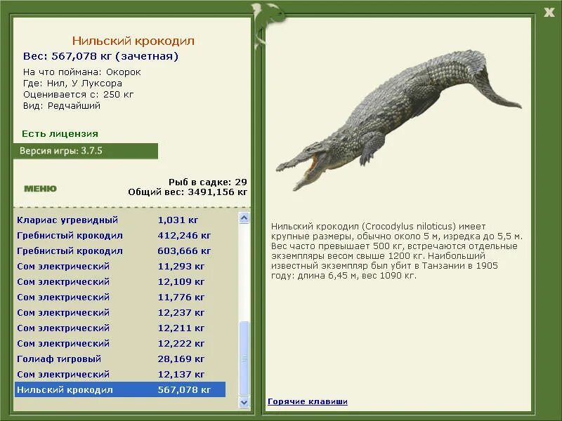 Крокодил сколько килограмм. Крокодил весит. Крокодил сколько килограмм. Укус гребнистого крокодила в кг. Крокодил сколько килограмм.