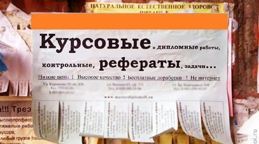 Объявление о курсовой работе. Услуги по написанию дипломных работ. Дипломные работы реклама. Объявления пишу дипломные работы. Дипломная работа реклама