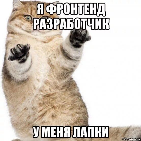 Лапки постарайся твоя ж. Лапки постарайся твоя ж. У тебя же лапки постарайся песня. Лапки постарайся твоя ж. Песня лапки speed up.
