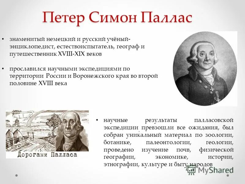 Какой выдающийся русский ученый энциклопедист. Петер Симон Паллас. Путешественники 18 века. Петер Симон Паллас вклад в зоологию. Русский ученый энциклопедист.