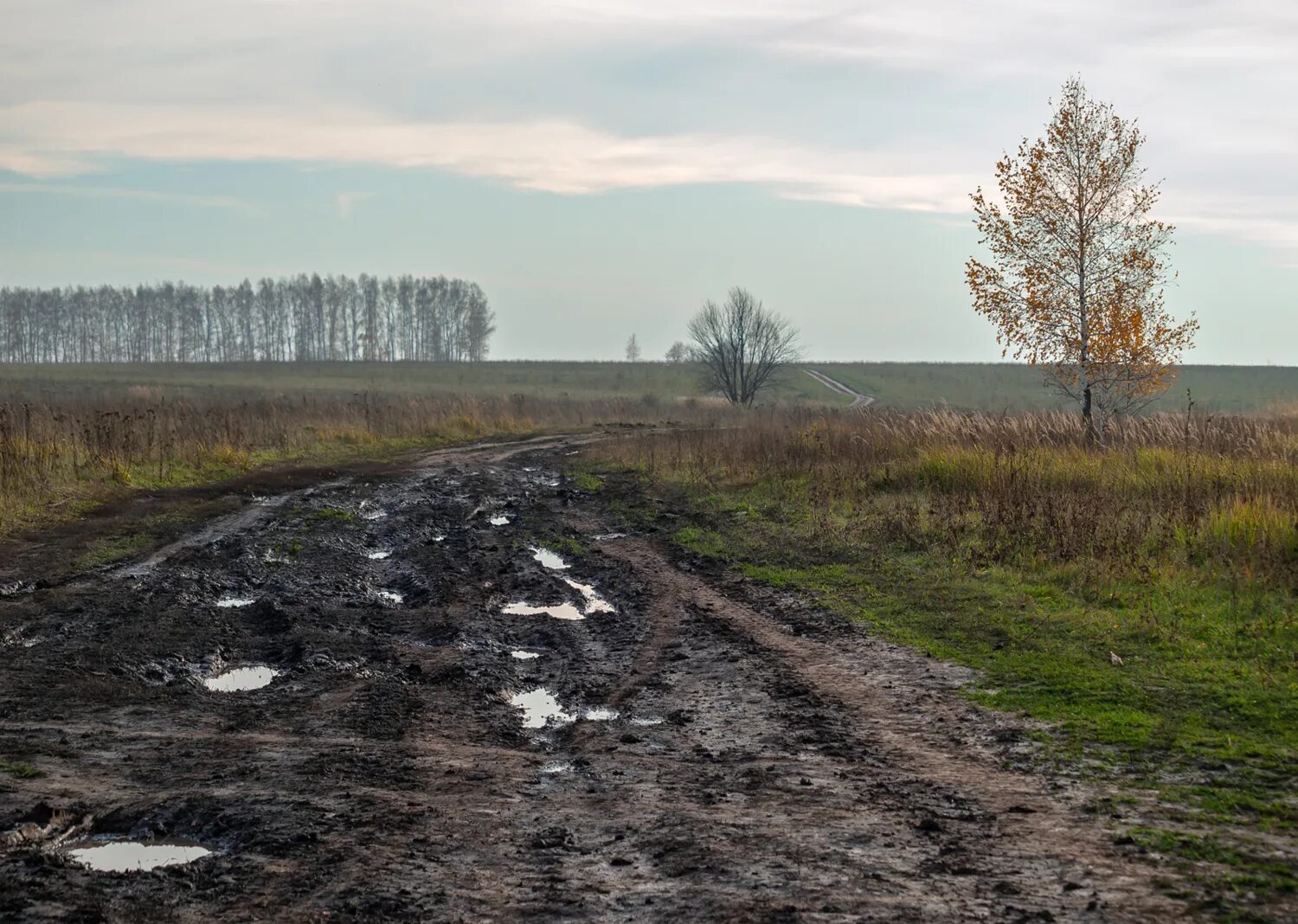 Чернеет дорога. Чернеет дорога. Дорога весной. Чернеет дорога. Чернеет дорога.