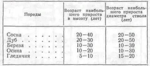Высота и диаметр деревьев таблица