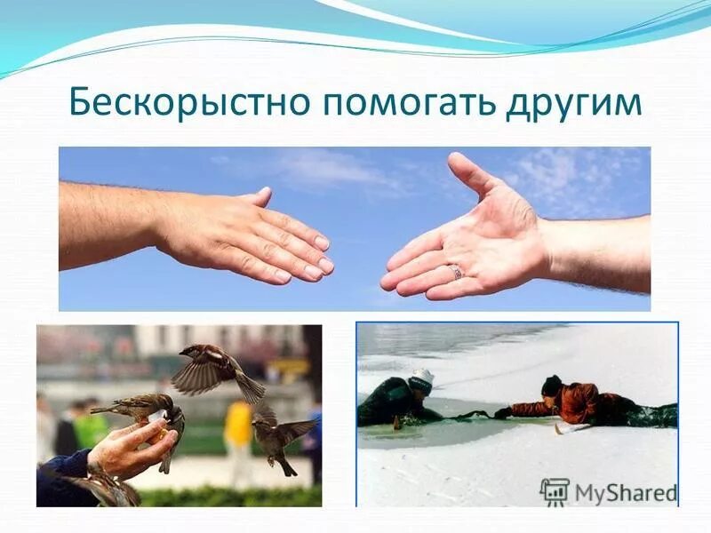 Помощь должна быть бескорыстной. Фразы о бескорыстии. Бескорыстность это. Доброта к животным. Добрые дела.