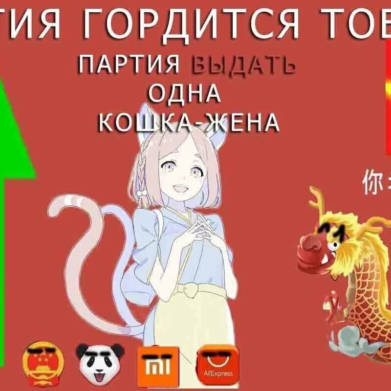 Rise wife. Партия выдать одна кошка жена. Китайская партия гордится тобой Мем. Партия гордится тобой кошка жена. Миска риса и кошка жена.