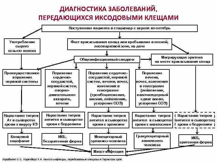 Заболевания передающиеся клещами