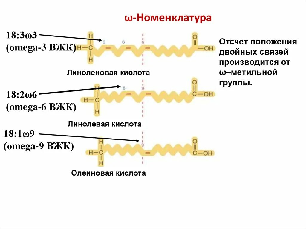 Вжк сочи. Высшие жирные кислоты номенклатура. Липид с линоленовой кислотой. Номенклатура ненасыщенных высших жирных кислот. Высшие жирные кислоты формулы.