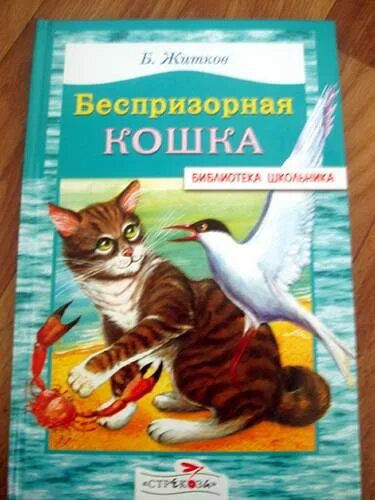 Житков Беспризорная кошка. Книга Житков Беспризорная кошка. Житков бездомная кошка. Беспризорная кошка читательский дневник