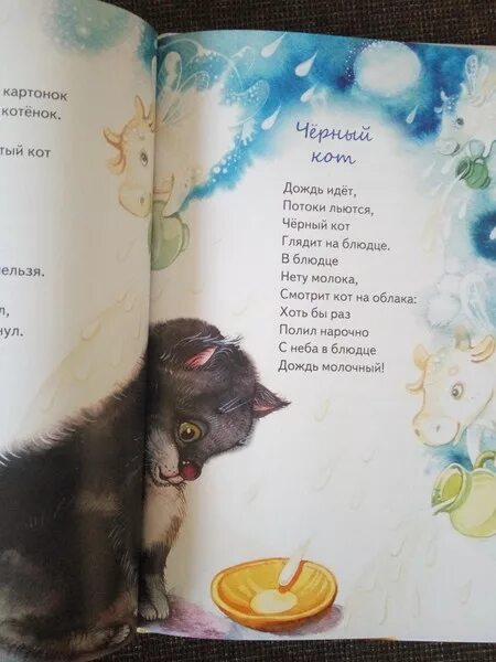 Стихотворение черный кот Введенский. Черный кот Введенский стих. Стих про черного кота. Стих про кошку. Черный кот стихи