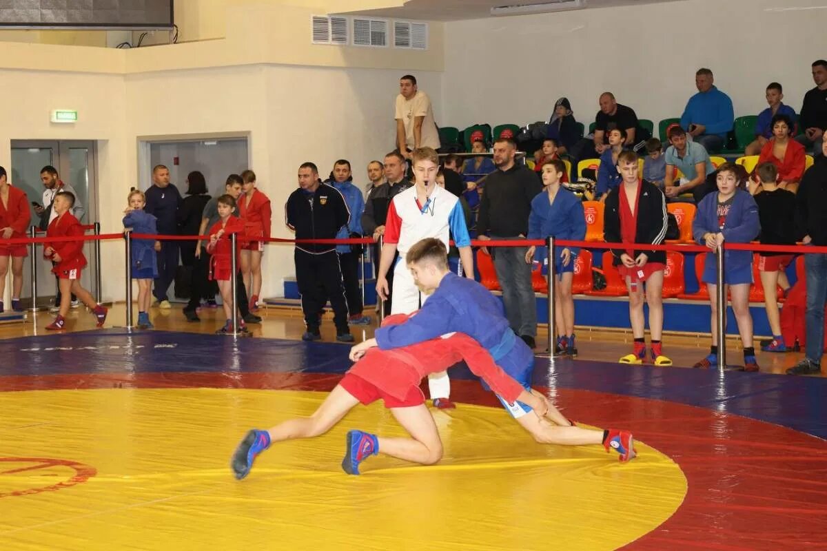 Боевое самбо мытищи. Известные самбистки. Самбо национальный вид спорта в россии. Школа борьбы руслана сазонова мытищи. Мытищи самбо карина кравченко.