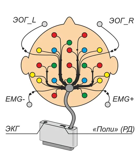 Система ээг. Схема ЭЭГ 10-20. Электроэнцефалография схема 10 20. Комплект ЭЭГ-электродов КЭ-ЭЭГ-10/20 «Энцефалан-КЭ». Схема наложения электродов ЭЭГ.