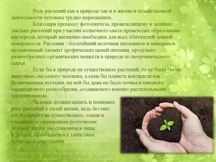 Какова роль природы в жизни человека кратко