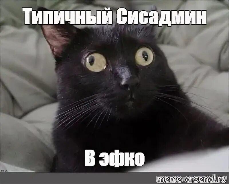 Угадай куда я сейчас иду