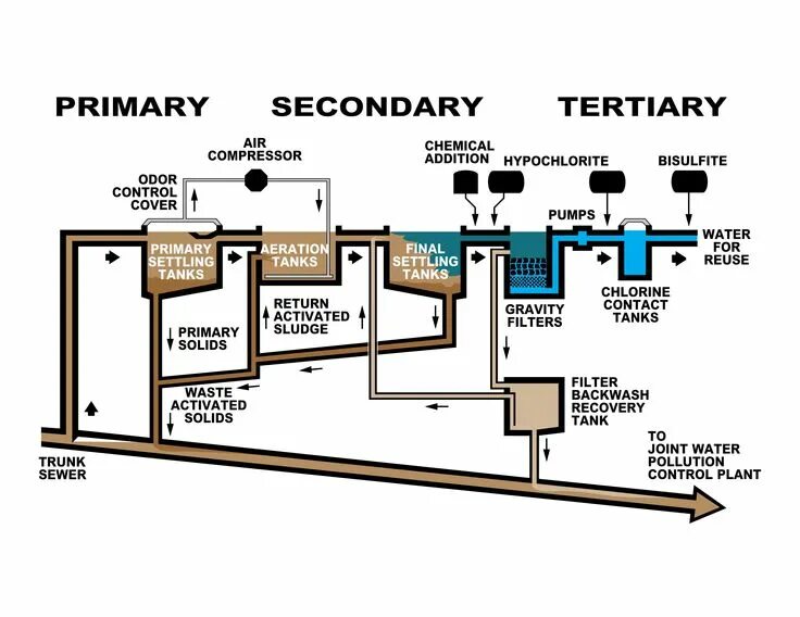 Primary secondary tertiary