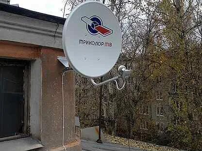 Фото тарелки триколор