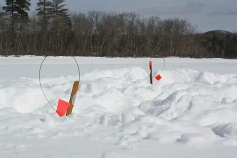 Количество жерлиц на одного рыболова 2023