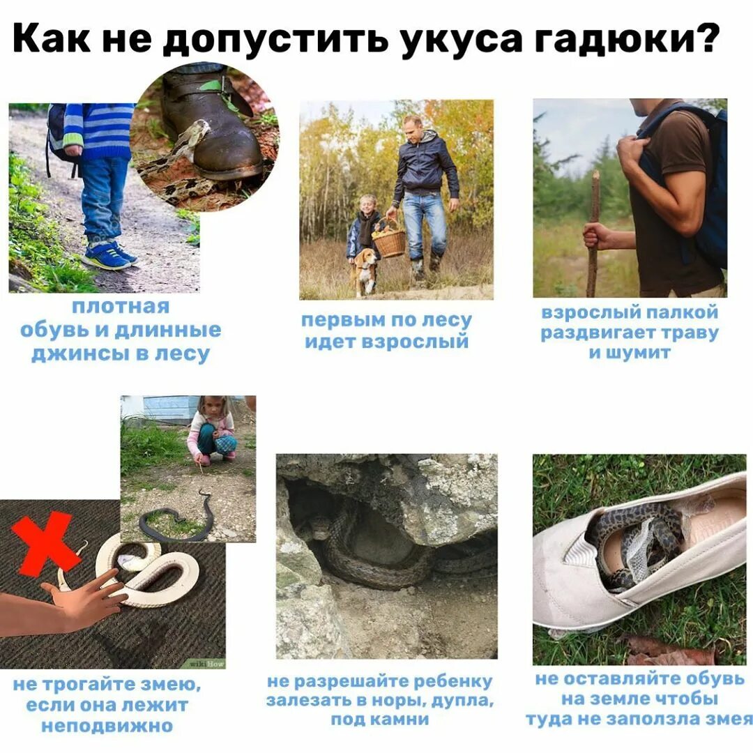 Как не допустить укус