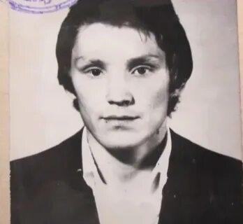Бык владимирович