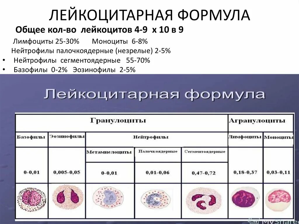 Лейкоцитарная реакция выражена