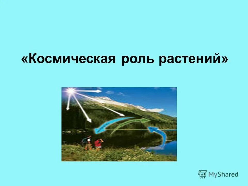 Что такое космическая роль растений