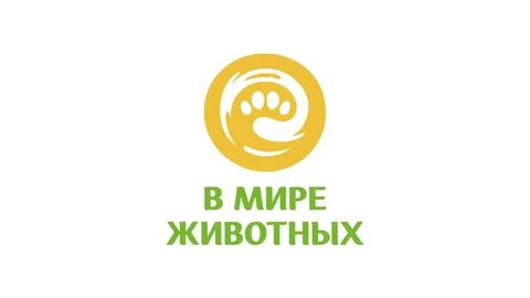 Канал животных