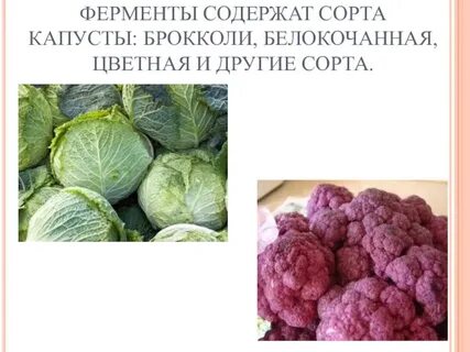 Цветная капуста сорт гарантия