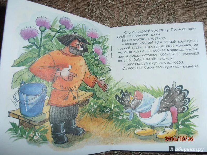 Сказка об одном зернышке краткое содержание. Петушок и бобовое зернышко сказка. сказка о зернышке.