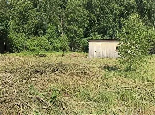 Солдатское степное волгоградская область. Участки солдатский. Куркачинское хпп. Участки солдатский. Куркачинское хпп.