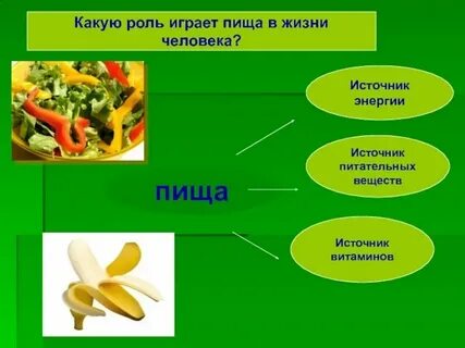 Роль питания в жизни растения