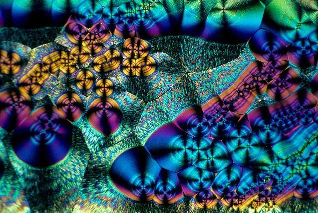 Как выглядят витамины под микроскопом Vitamin C (ascorbic acid) crystals (20x) Nikon small world, Microscope art, Smal