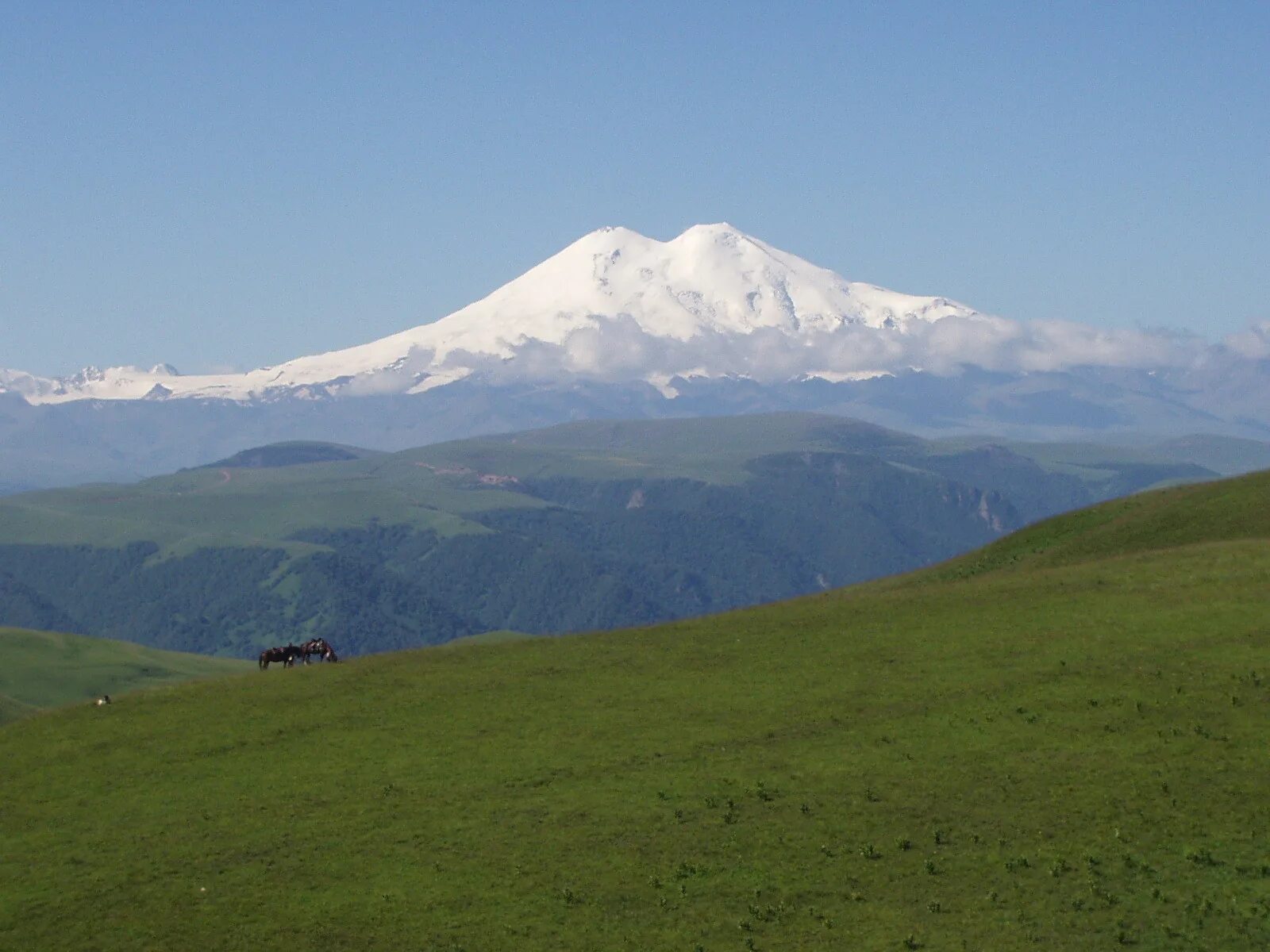 Горе ю
