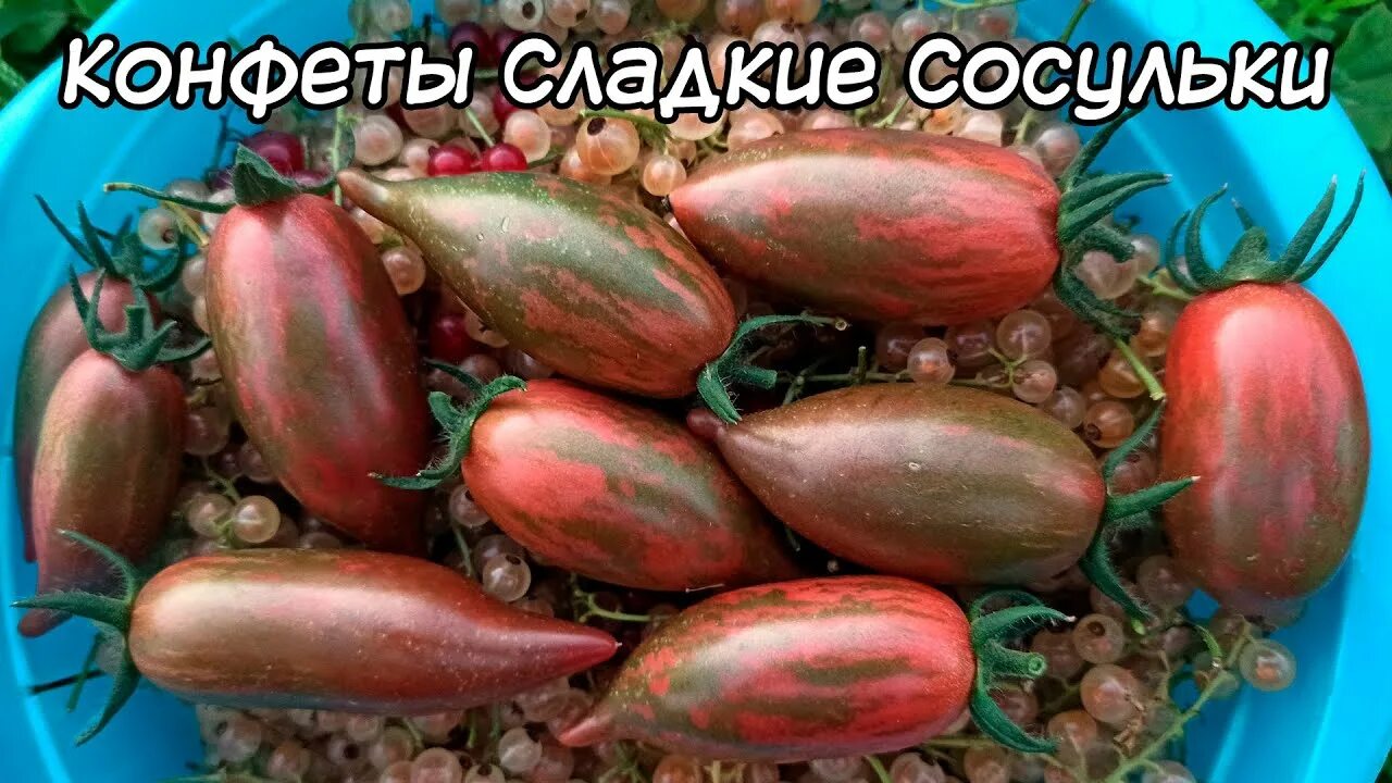 Конфеты сладкие сосульки описание