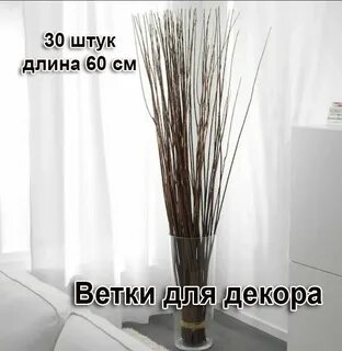 Сухой длинный