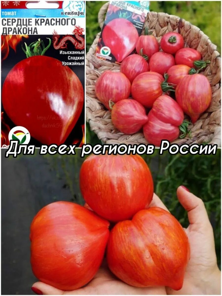 Сорт томатов сердце дракона красное. Сорт томатов сердце дракона красное. Томат глаз дракона. Томат воловье сердце розовое 20шт аэлита. Сорт томатов сердце дракона красное.