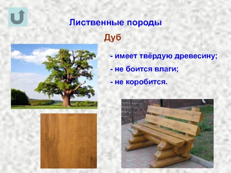 Какое дерево прочнее
