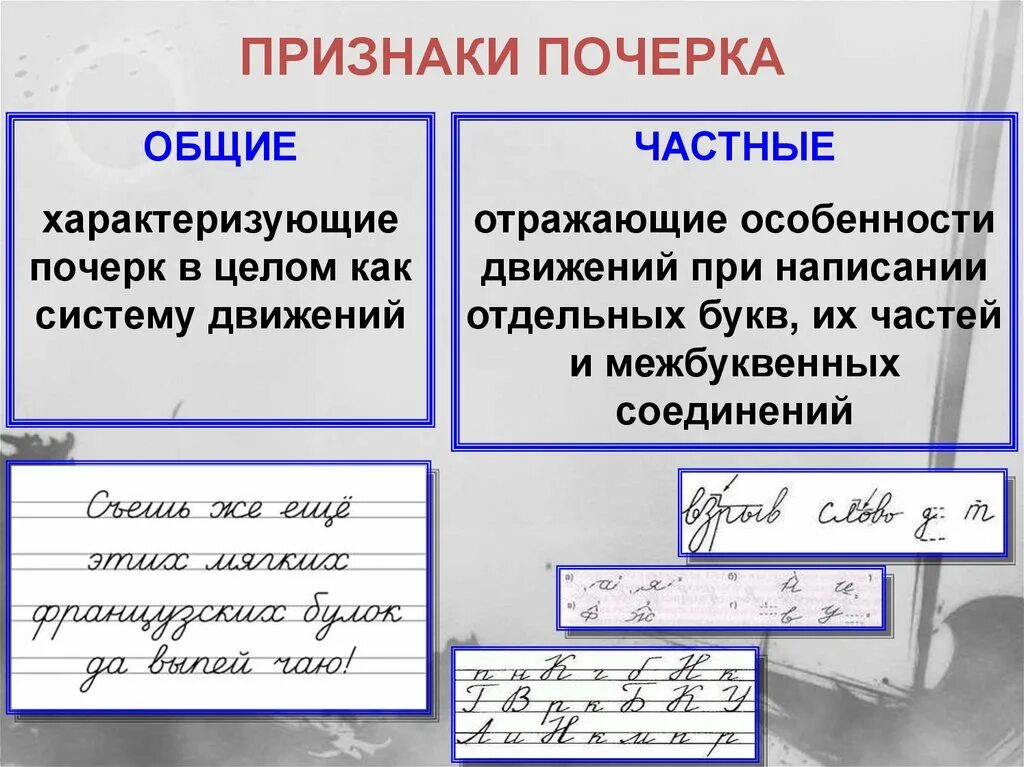 Характеристика общих признаков почерка. Общие и частные признаки почерка. Частные признаки почерка. Разработка почерка. Система почерка