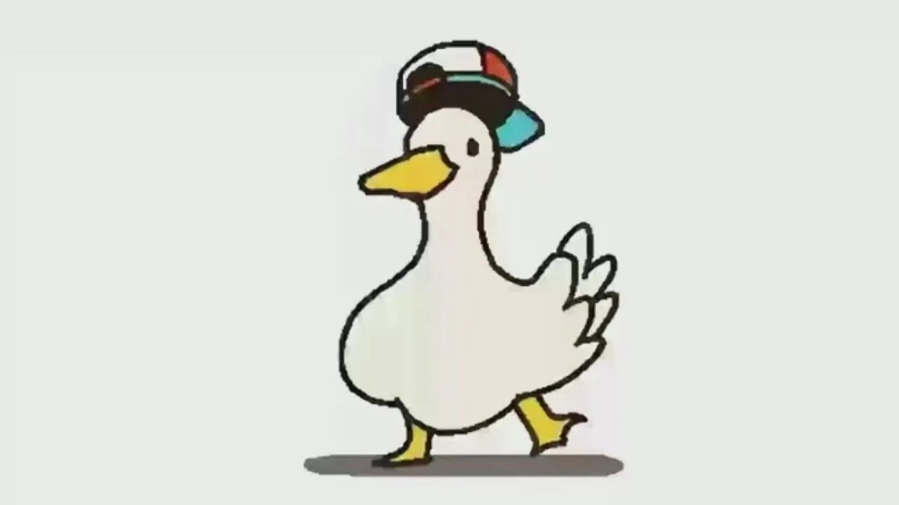 Duck up