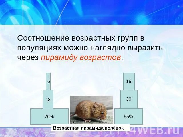 Возрастные группы популяции. Возрастная пирамида полевок. Демографическая структура популяции. Соотношение возрастных групп популяции в пирамиде возрастов. Возрастные пирамиды животных.