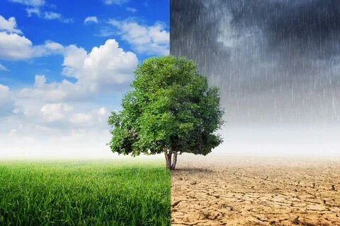 Climate c