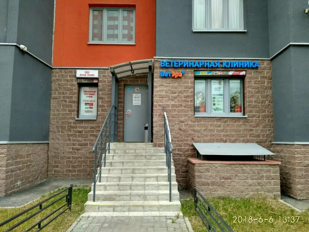 ветклиника ответ коллонтай. ветеринарный центр санкт петербург улица. коллонтай 41 ветеринарная клиника. ветеринарный центр санкт петербург улица. ветеринарная клиника спб.