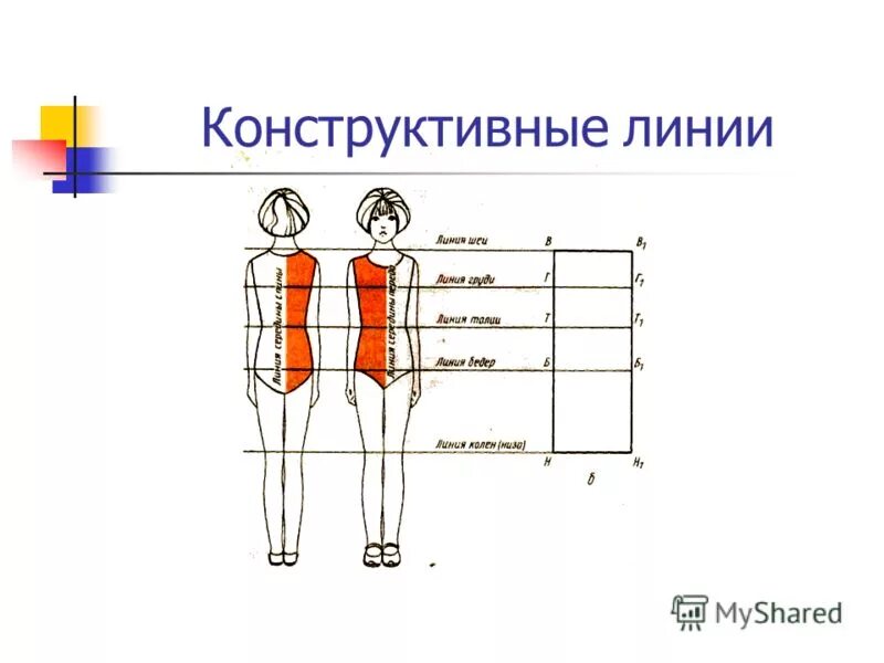 Конструктивные линии в одежде. Конструктивные линии фигуры человека. Конструктивные линии в одежде эскизы. Конструктивные линии в одежде. Основные конструктивные линии.